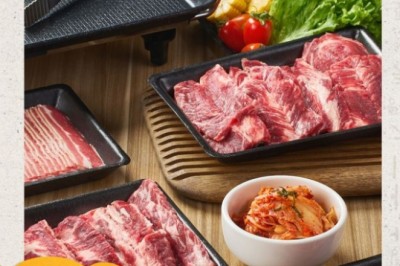Review GoGi House